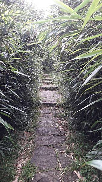 20190617_153540 20190617_153540