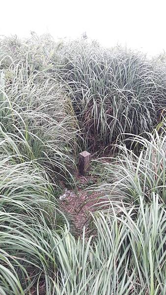 20190617_160142 20190617_160142