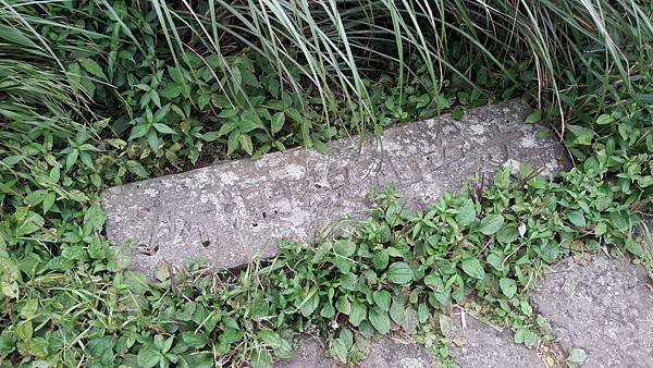 20190617_155550 20190617_155550