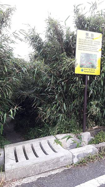 20190617_165711 20190617_165711