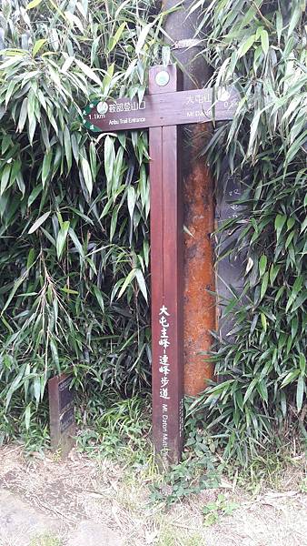 20190617_162012 20190617_162012