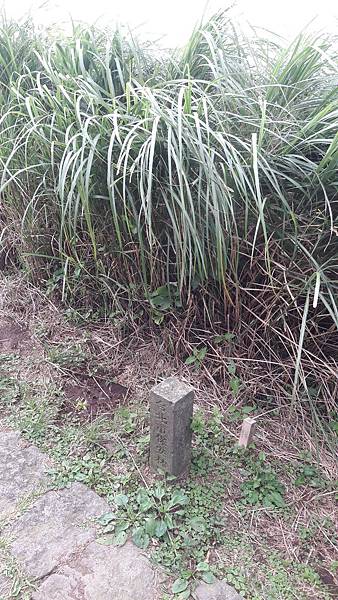 20190617_154508 20190617_154508