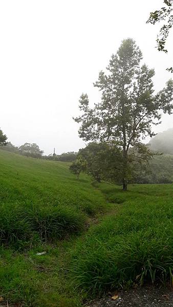 1563162054441 1563162054441