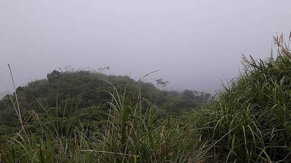 1563162059786 1563162059786