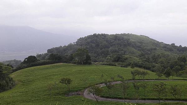 1563162065545 1563162065545