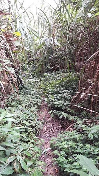 1563162056060 1563162056060