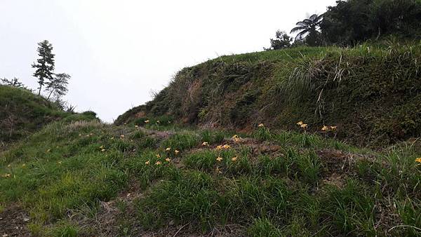 1563162052749 1563162052749