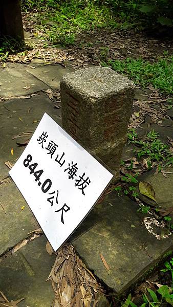 20190805_115828 20190805_115828