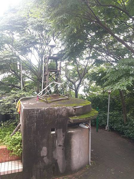 108.05.23新竹十ハ尖山_190812_0013