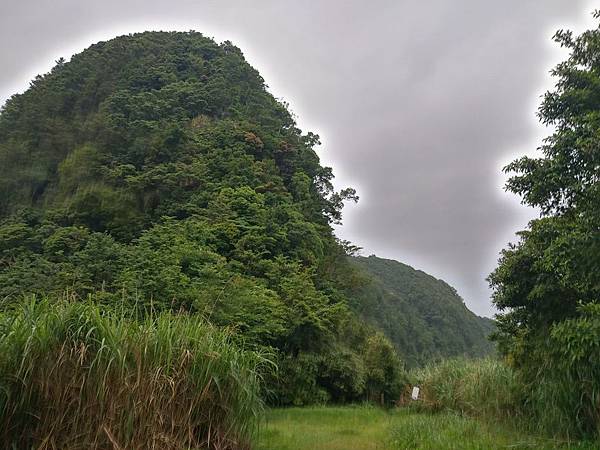 108.05.22獅仔頭山_190812_0001