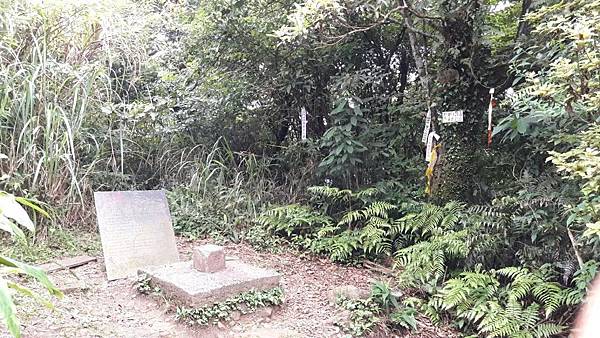 108.05.22獅仔頭山_190812_0019