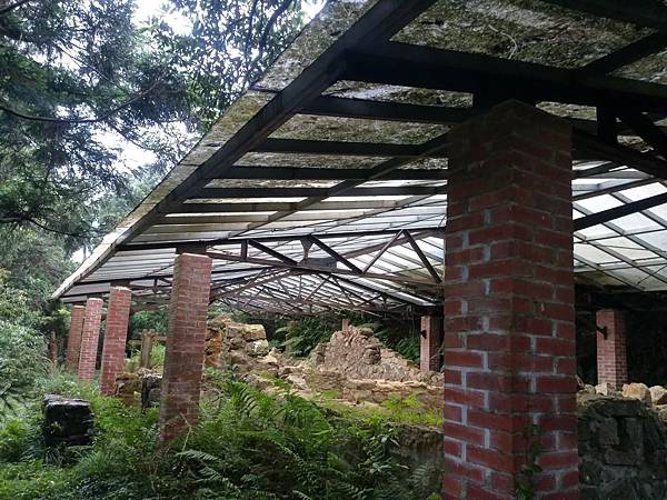 108.05.22獅仔頭山_190812_0004