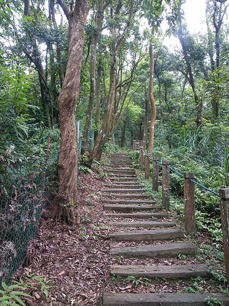 108.05.22獅仔頭山_190812_0014