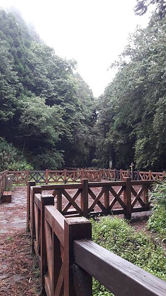 20190906_084751 20190906_084751