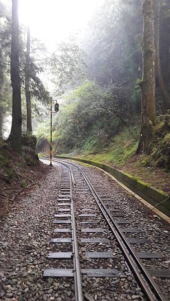 20190906_083644 20190906_083644