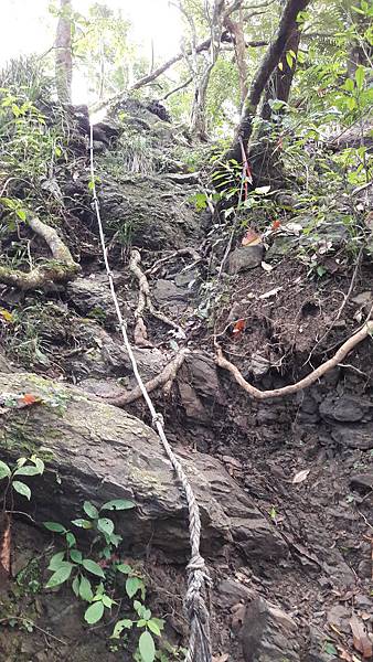 20190922_084219 20190922_084219