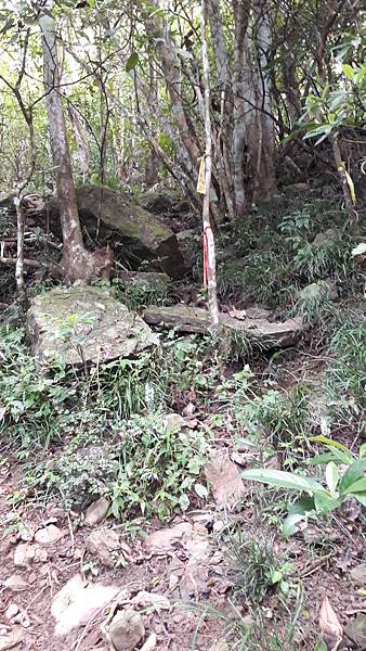 20190922_082612 20190922_082612