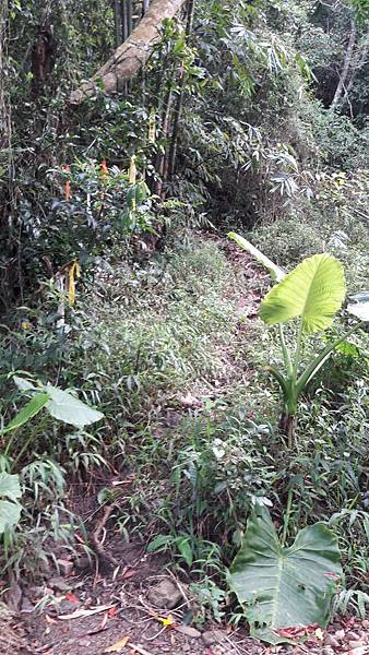 20190922_082259 20190922_082259