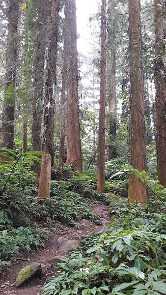 20191114_070704.jpg 20191114_070704.jpg