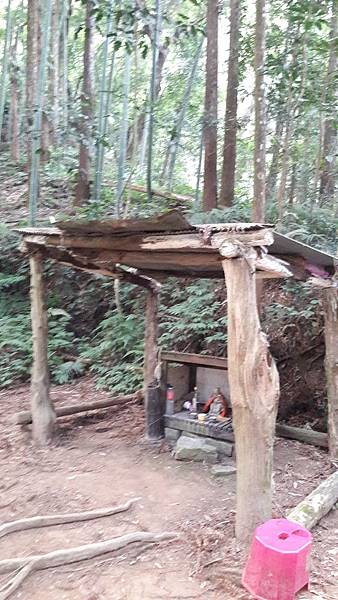 20191114_075304.jpg 20191114_075304.jpg