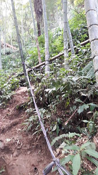 20191114_073804.jpg 20191114_073804.jpg