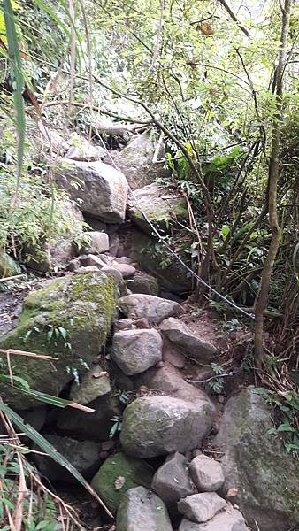 20191114_073332.jpg 20191114_073332.jpg