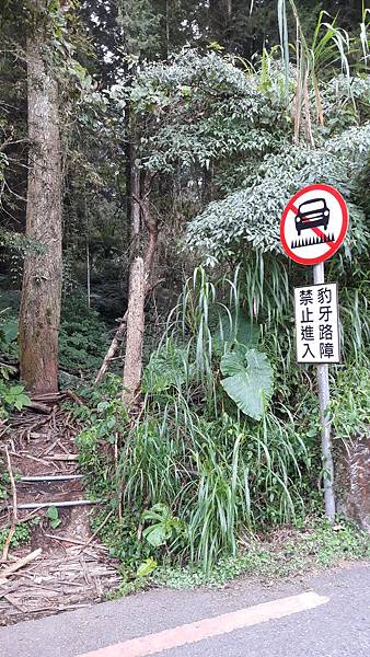 20191114_070518.jpg 20191114_070518.jpg