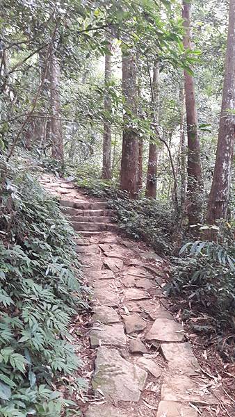 20191114_075835.jpg 20191114_075835.jpg