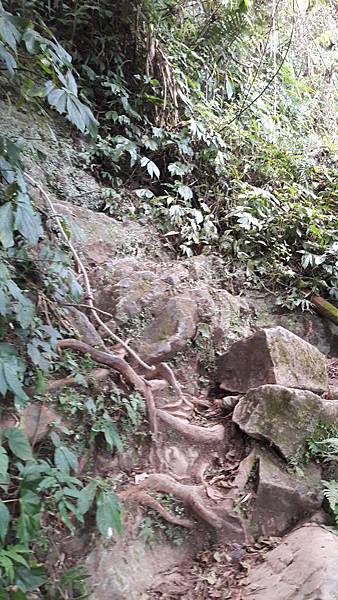 20191114_081450.jpg 20191114_081450.jpg