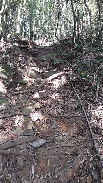 20191114_084248.jpg 20191114_084248.jpg