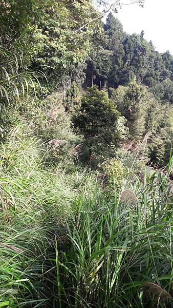 20191114_093235.jpg 20191114_093235.jpg