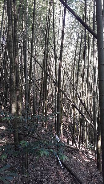 20191114_094550.jpg 20191114_094550.jpg