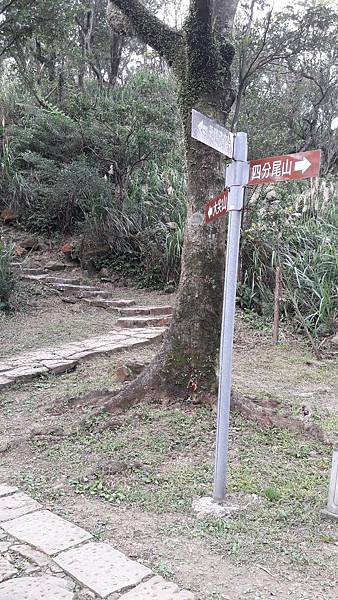 20170217_152024.jpg 20170217_152024.jpg