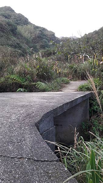 20200123_072739.jpg 20200123_072739.jpg