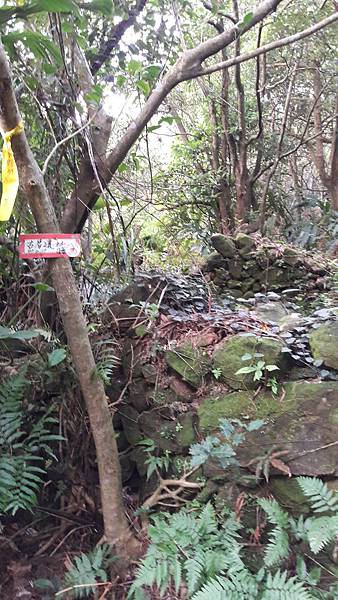 20200123_073754.jpg 20200123_073754.jpg