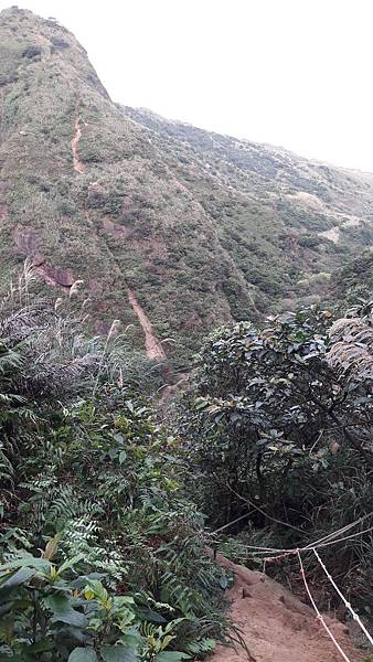 20200123_075651.jpg 20200123_075651.jpg