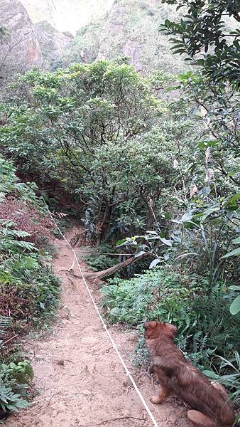 20200123_075834.jpg 20200123_075834.jpg