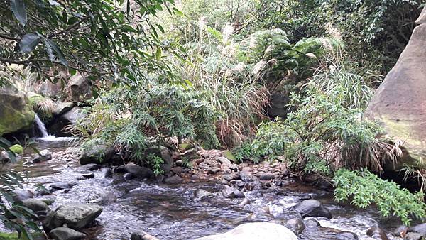 20200123_080540.jpg 20200123_080540.jpg