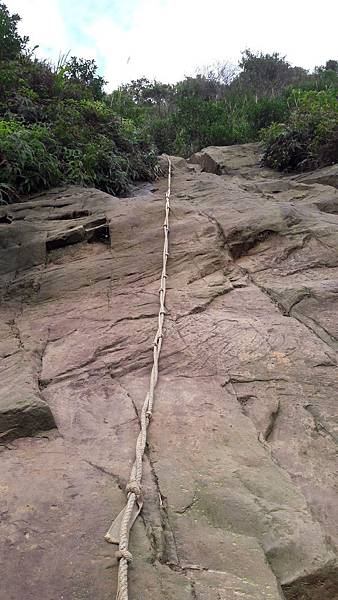 20200123_080941.jpg 20200123_080941.jpg