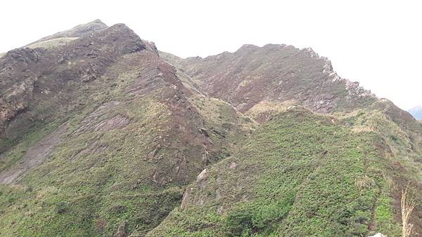 20200123_082407.jpg 20200123_082407.jpg