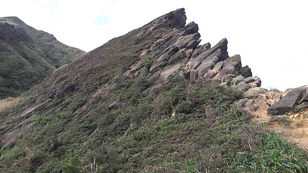 20200123_083735.jpg 20200123_083735.jpg