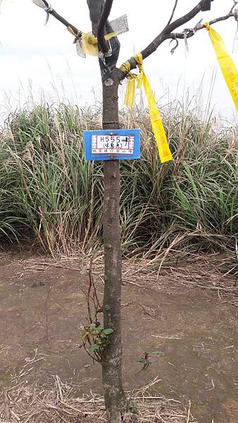 20200123_100716.jpg 20200123_100716.jpg