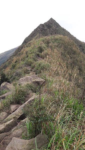 20200123_102231.jpg 20200123_102231.jpg