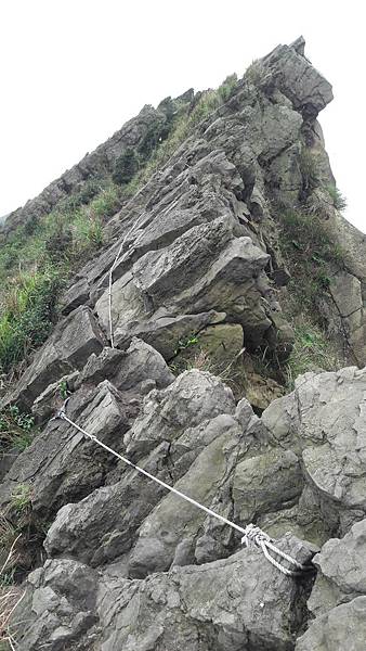 20200123_104335.jpg 20200123_104335.jpg