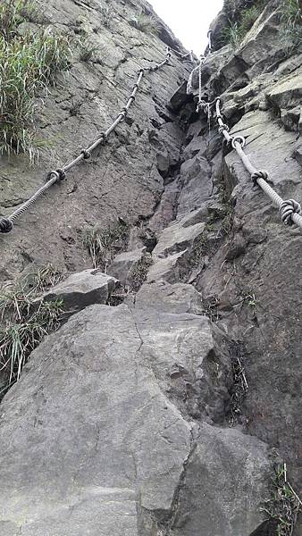 20200123_114102.jpg 20200123_114102.jpg