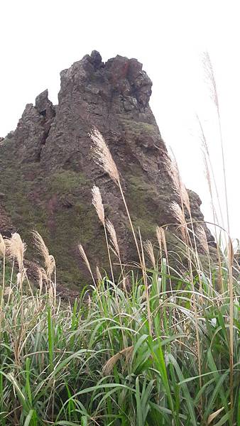 20200123_120441.jpg 20200123_120441.jpg