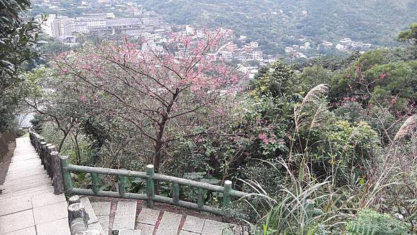 20200123_125341.jpg 20200123_125341.jpg