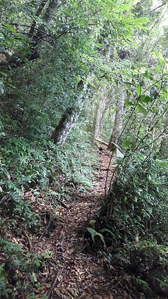 1582632582505.jpg 1582632582505.jpg