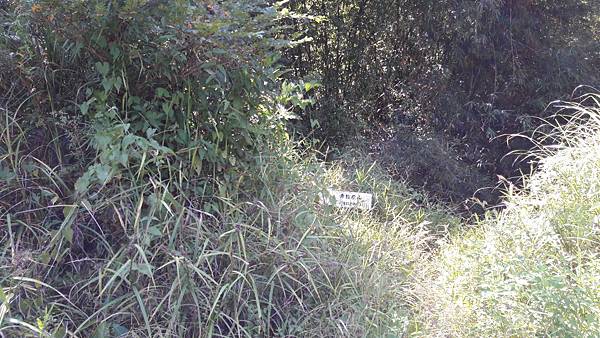 20180801_094058.jpg 20180801_094058.jpg