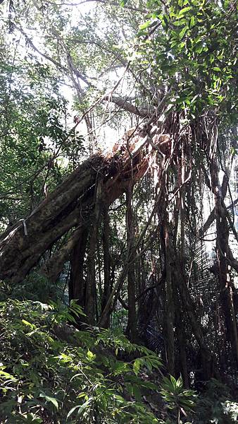 20180801_094834.jpg 20180801_094834.jpg